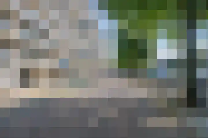 Admiraliteitskade 29 F Rotterdam thumbnail 23