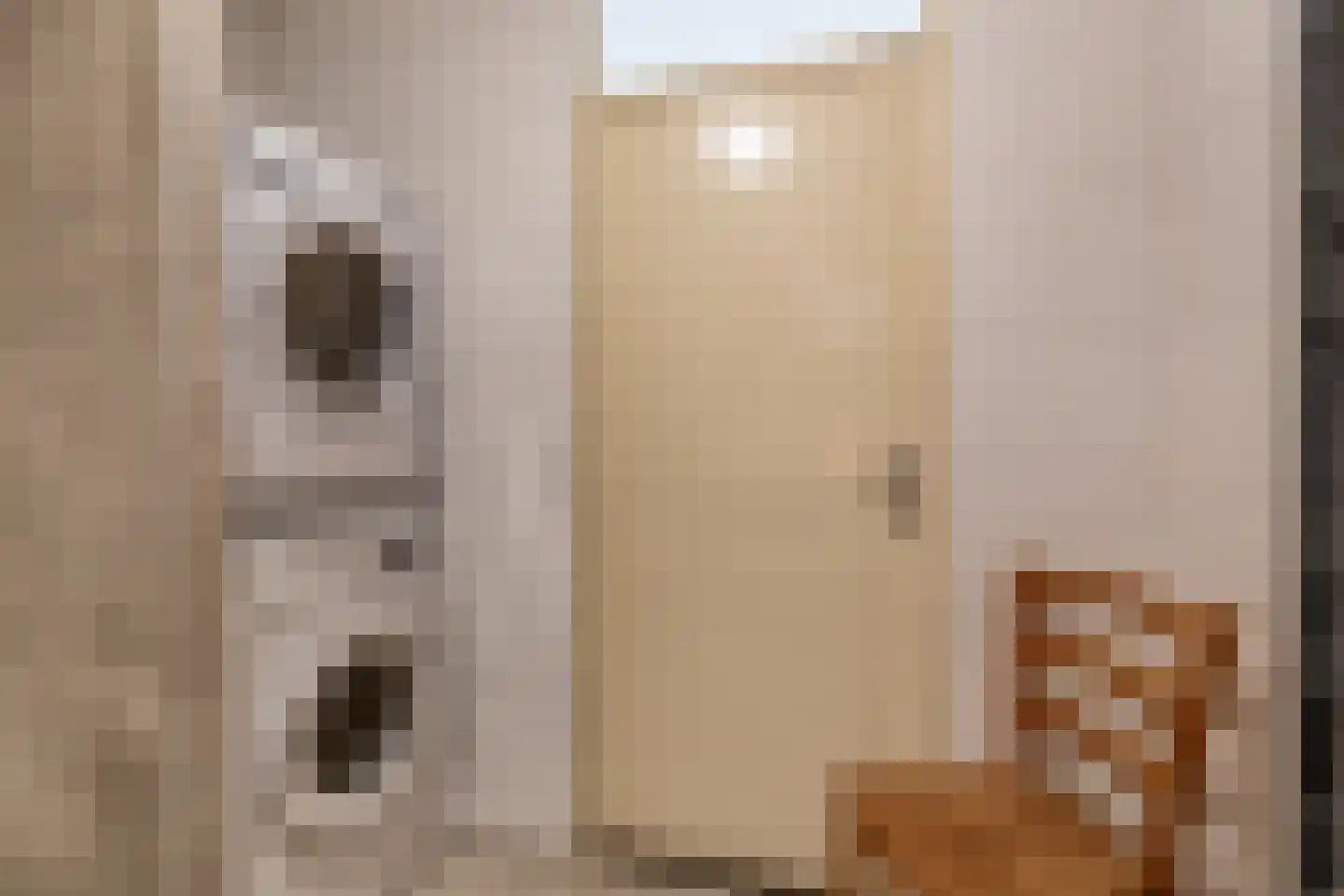 Admiraliteitskade 31 D Rotterdam thumbnail 26