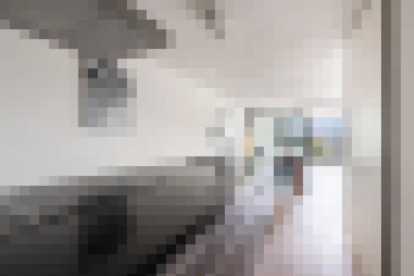 Admiraliteitskade 74 G Rotterdam thumbnail 21