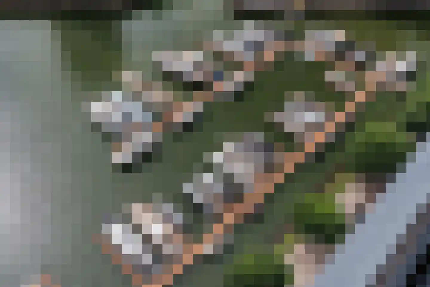 Admiraliteitskade 77 J Rotterdam thumbnail 41