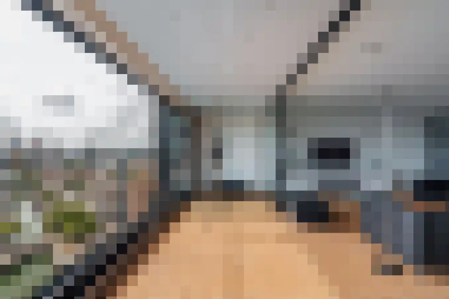 Admiraliteitskade 77 J Rotterdam thumbnail 7