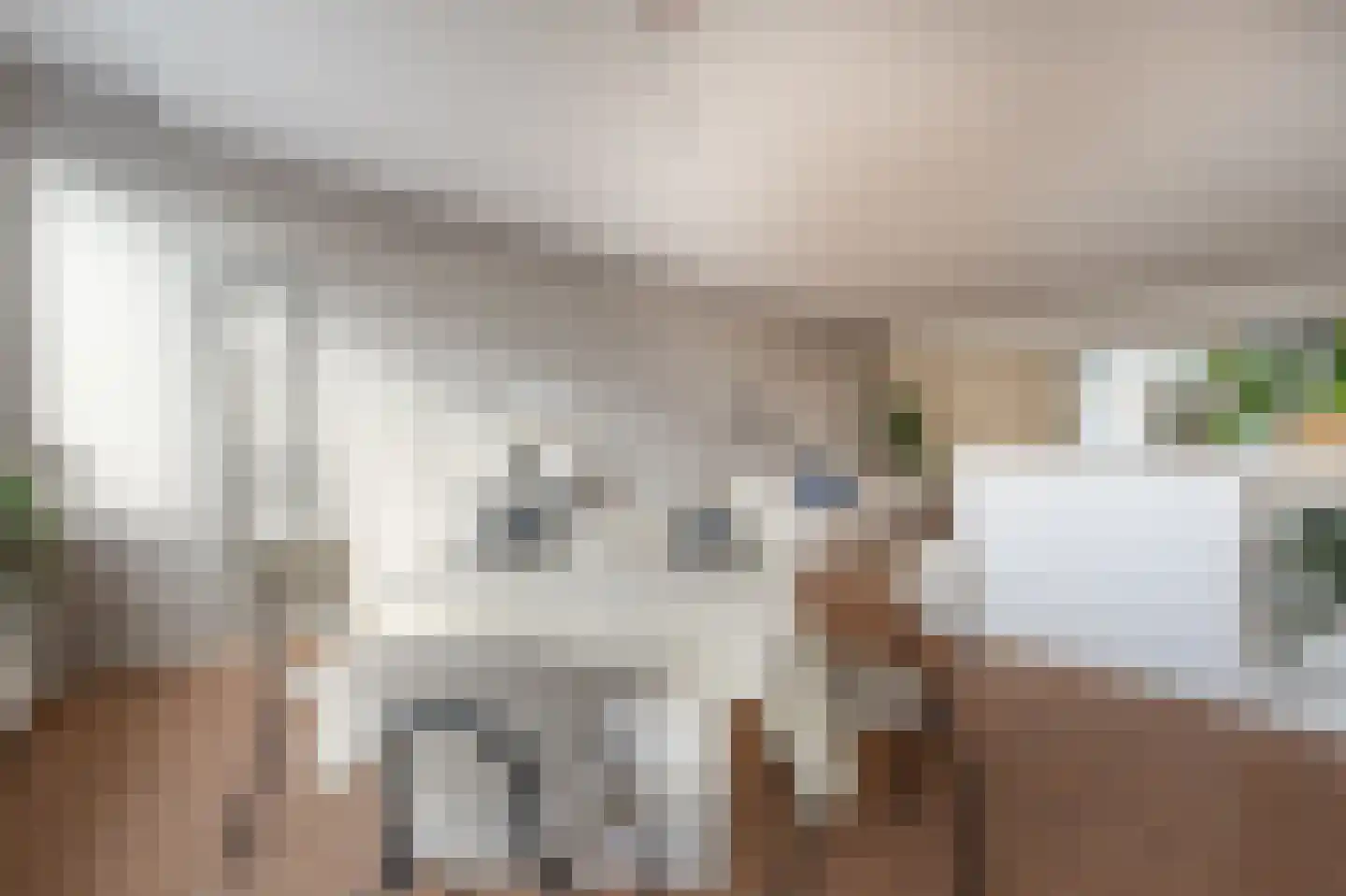 Admiraliteitskade 9 C 03 Rotterdam thumbnail 4