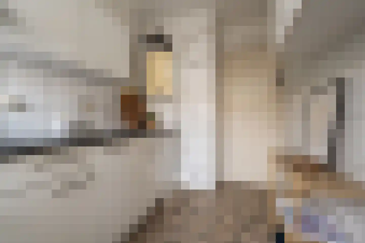 Admiraliteitskade 9 C 03 Rotterdam thumbnail 9