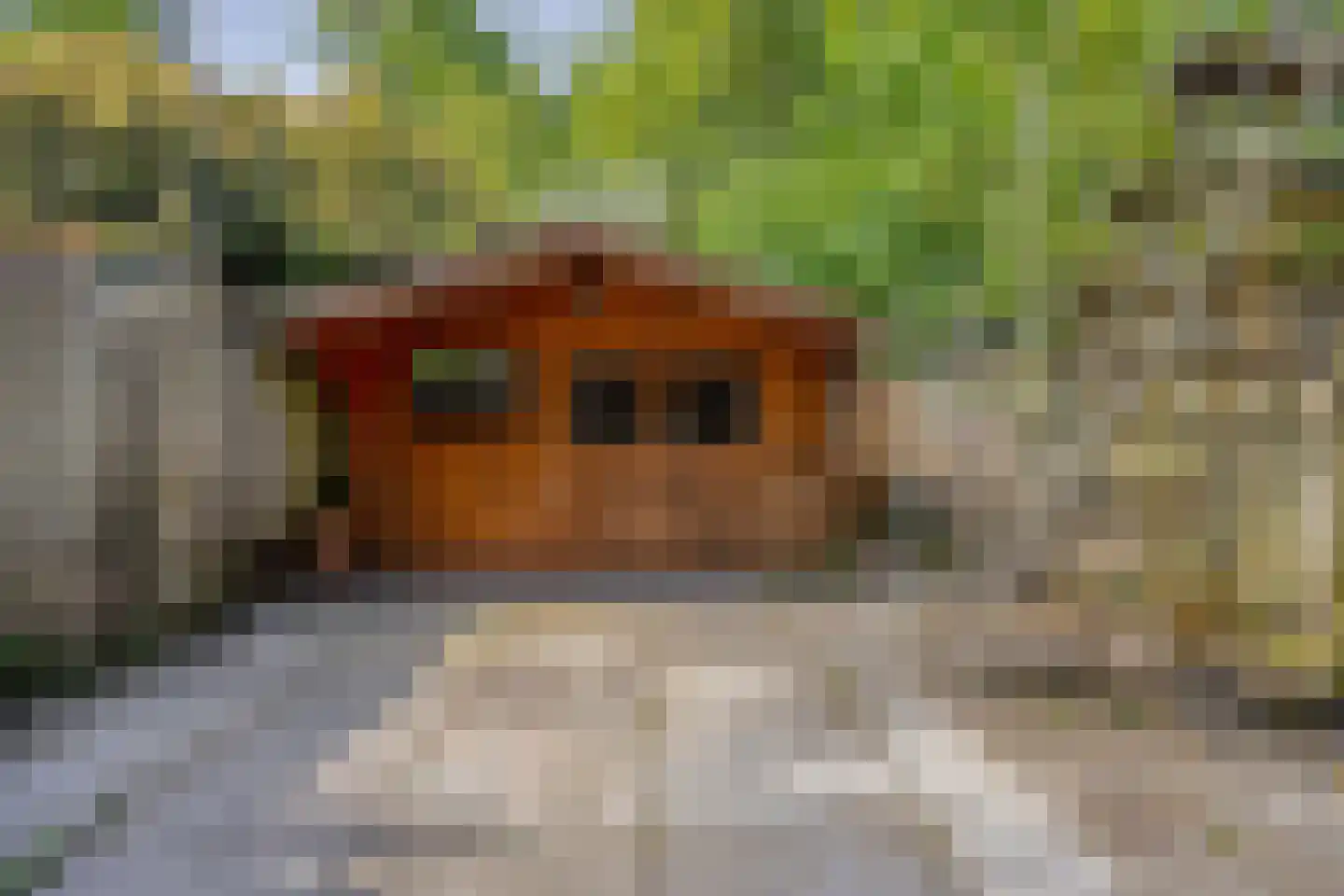 Admiraliteitslaan 16 's-Hertogenbosch thumbnail 48