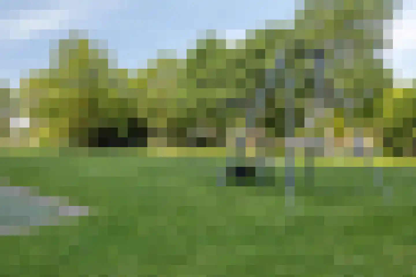 Admiraliteitslaan 16 's-Hertogenbosch thumbnail 52
