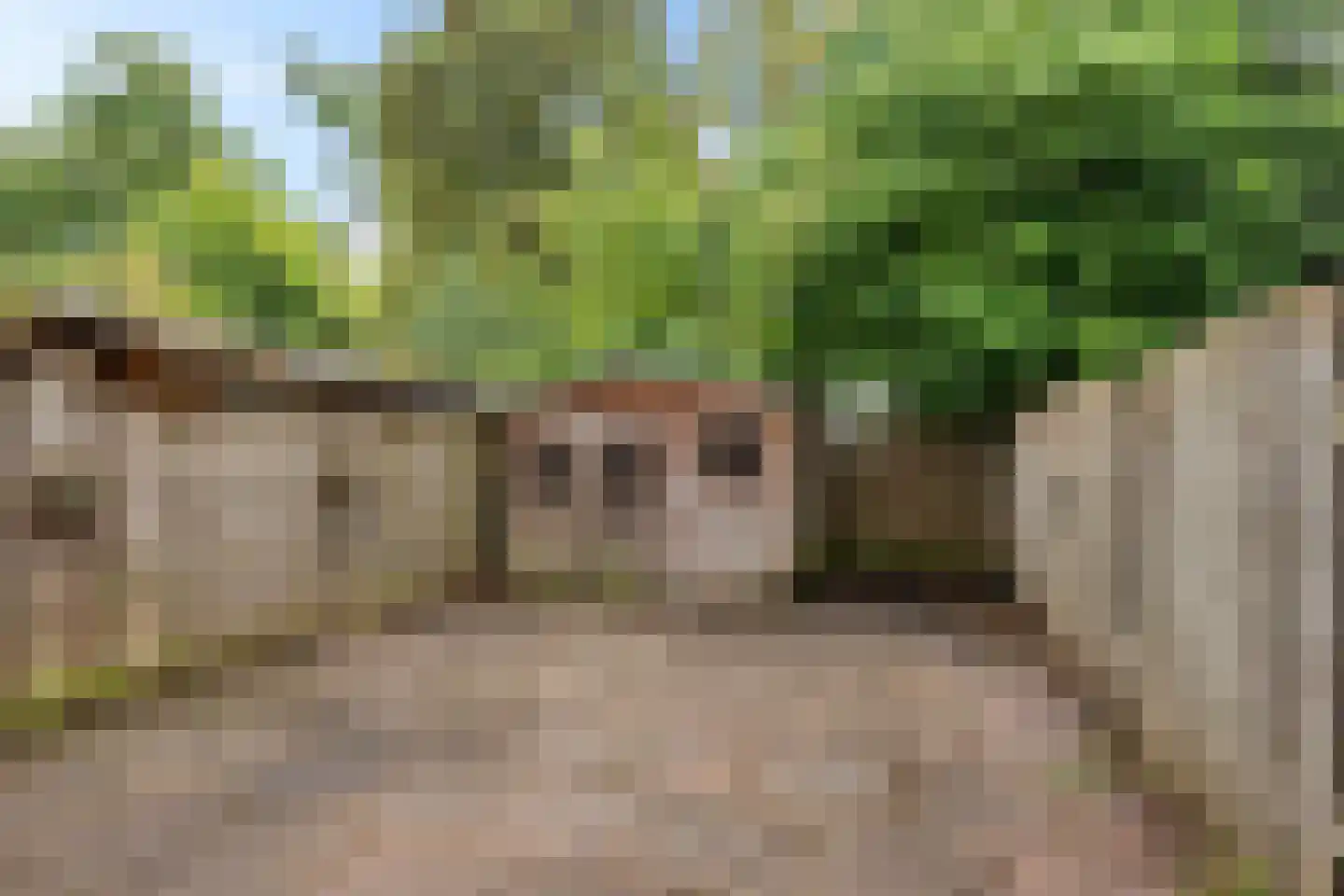 Admiraliteitslaan 20 's-Hertogenbosch thumbnail 23