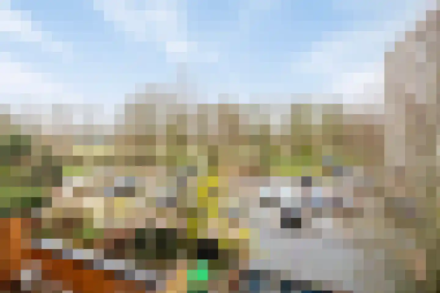Admiraliteitslaan 42 's-Hertogenbosch thumbnail 22