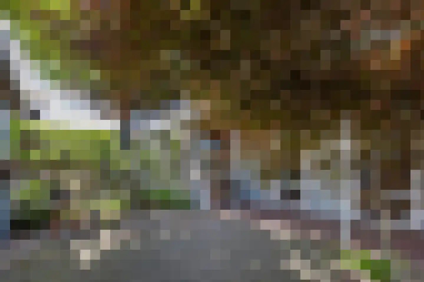 Admiraliteitslaan 42 's-Hertogenbosch thumbnail 36