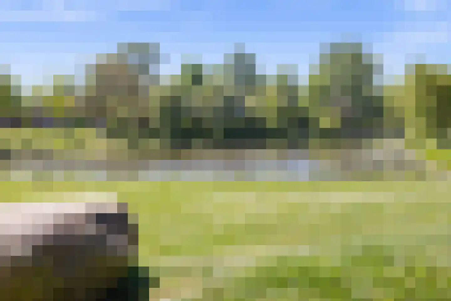Admiraliteitslaan 42 's-Hertogenbosch thumbnail 44