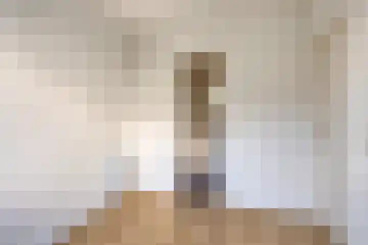 Admiraliteitslaan 456 A 's-Hertogenbosch thumbnail 12