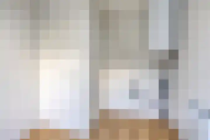 Admiraliteitslaan 456 A 's-Hertogenbosch thumbnail 15