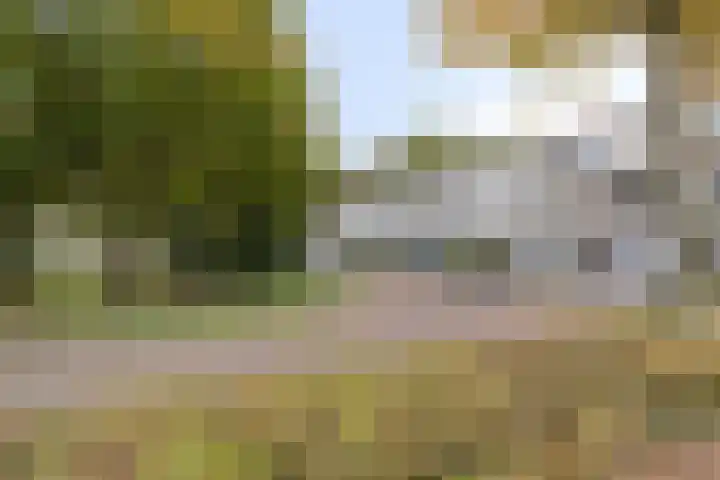 Admiraliteitslaan 456 A 's-Hertogenbosch thumbnail 16