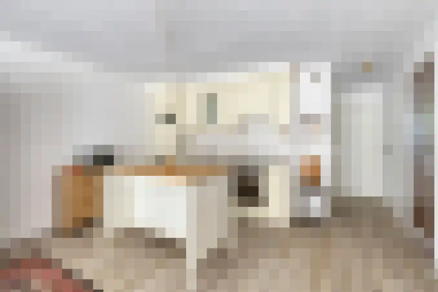 Admiraliteitslaan 456 's-Hertogenbosch thumbnail 9
