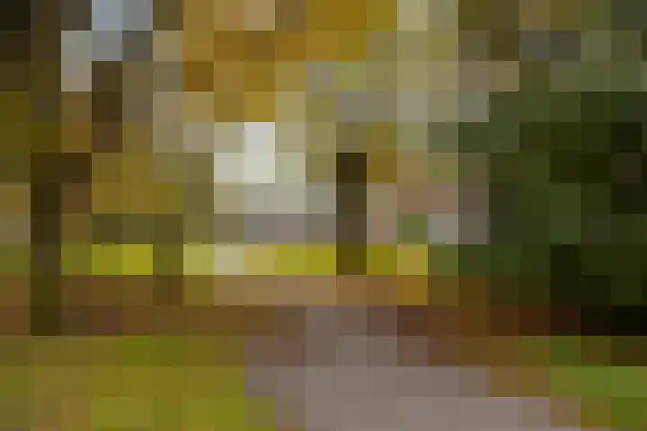 Admiraliteitslaan 462 's-Hertogenbosch thumbnail 30