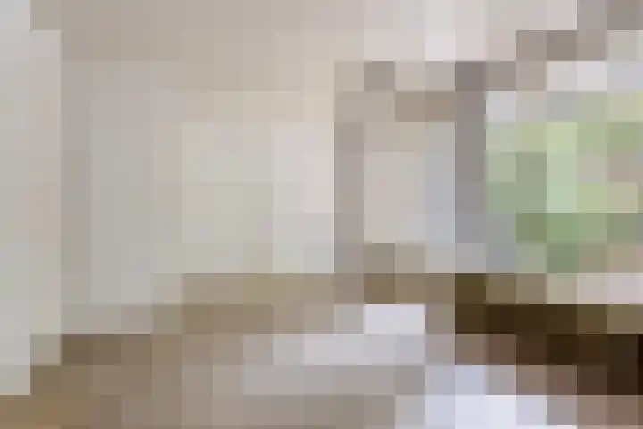 Admiraliteitslaan 462 's-Hertogenbosch thumbnail 4