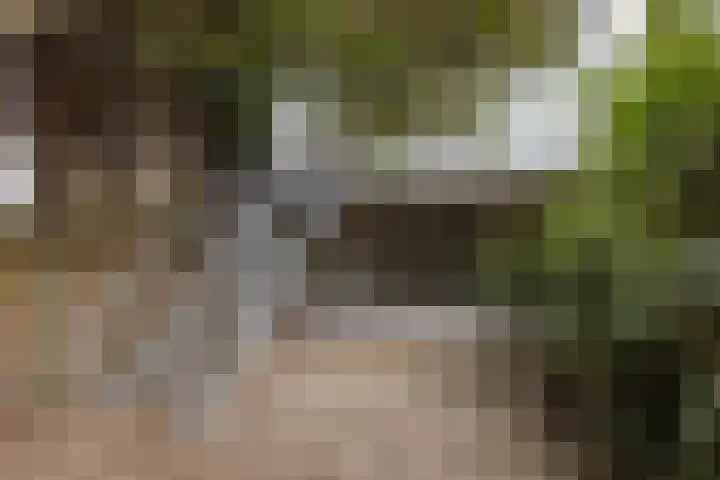 Admiraliteitslaan 462 's-Hertogenbosch thumbnail 6