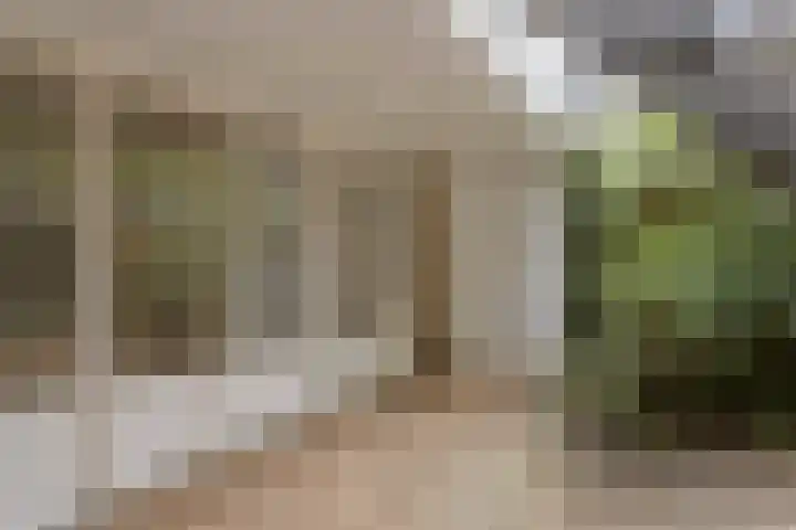 Admiraliteitslaan 462 's-Hertogenbosch thumbnail 7