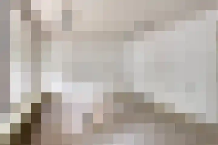Admiraliteitslaan 462 's-Hertogenbosch thumbnail 8