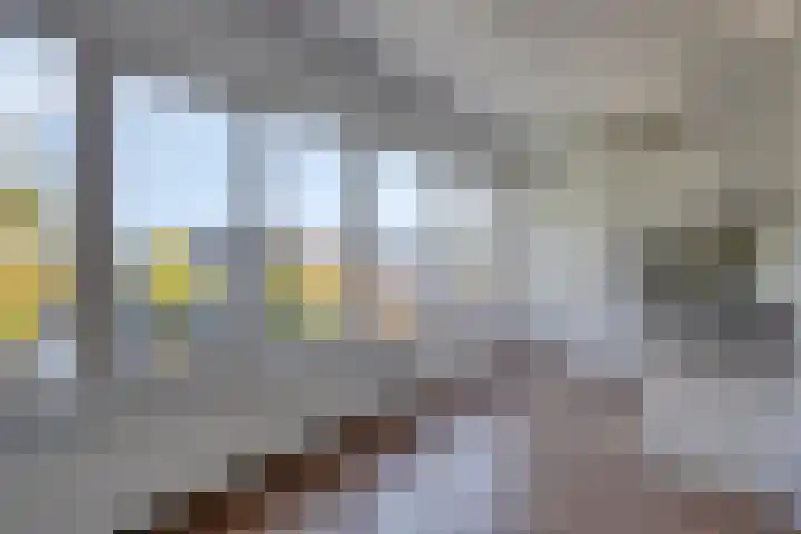 Admiraliteitslaan 824 B 's-Hertogenbosch thumbnail 10