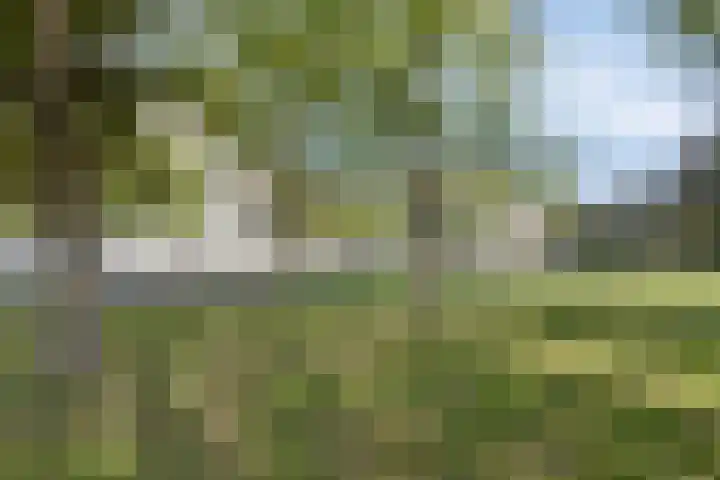 Admiraliteitslaan 824 B 's-Hertogenbosch thumbnail 18