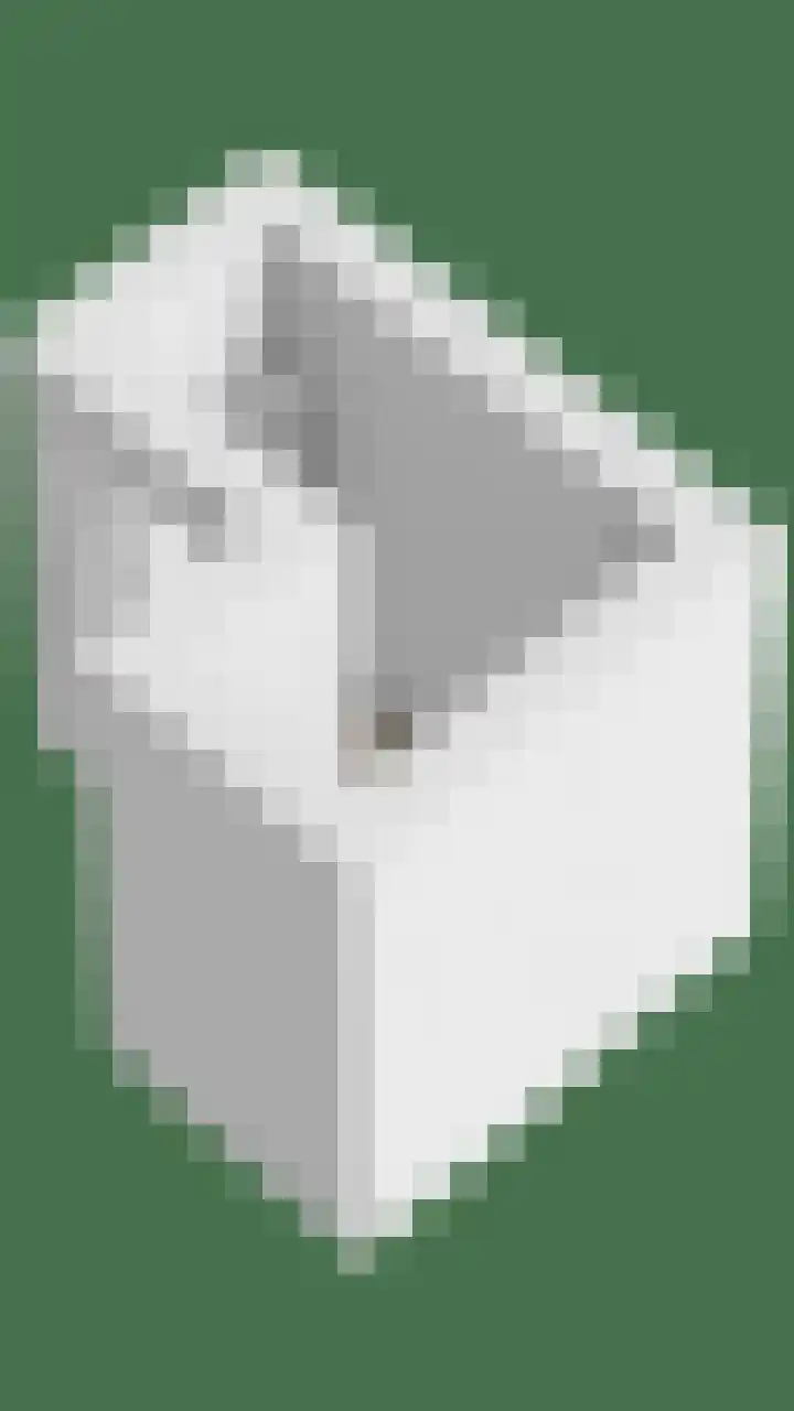 Admiraliteitslaan 824 B 's-Hertogenbosch thumbnail 25