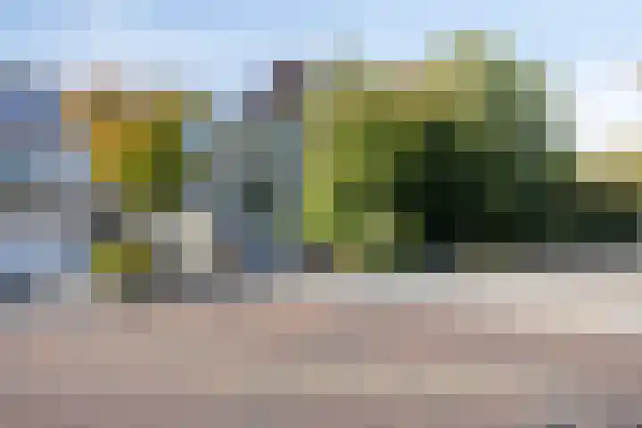 Admiraliteitslaan 824 B 's-Hertogenbosch thumbnail 5