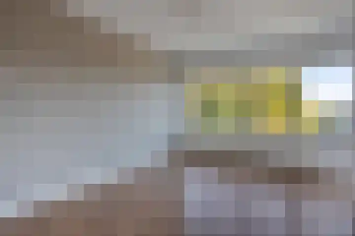 Admiraliteitslaan 824 B 's-Hertogenbosch thumbnail 7