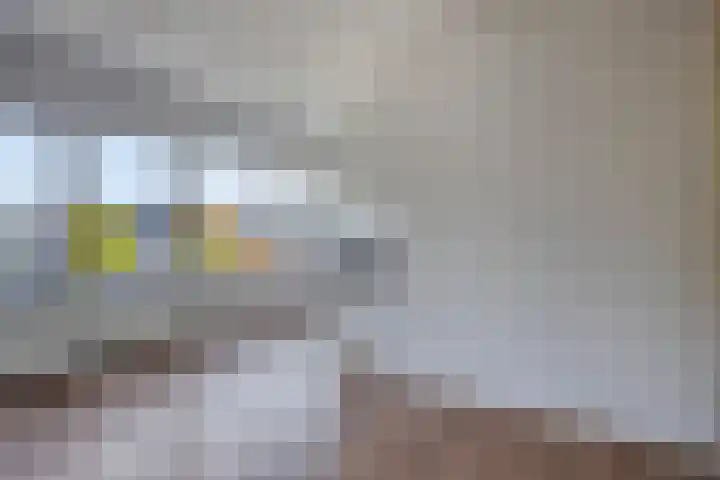 Admiraliteitslaan 824 B 's-Hertogenbosch thumbnail 8