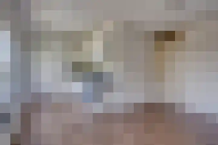 Admiraliteitslaan 824 B 's-Hertogenbosch thumbnail 9