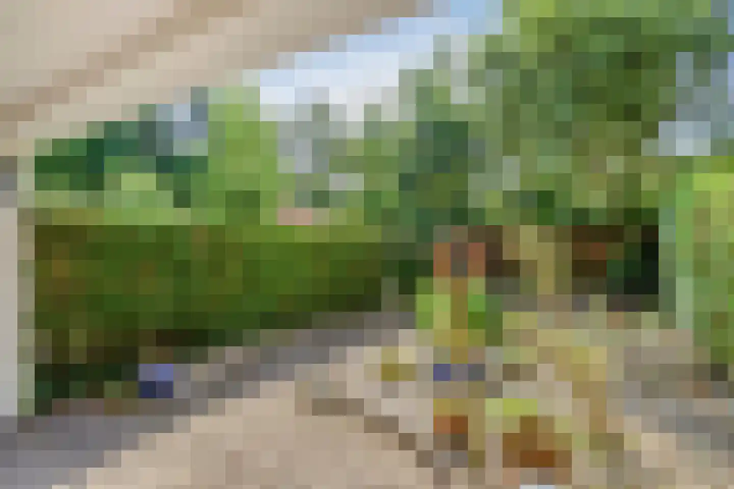 Admiraliteitslaan 840 's-Hertogenbosch thumbnail 34