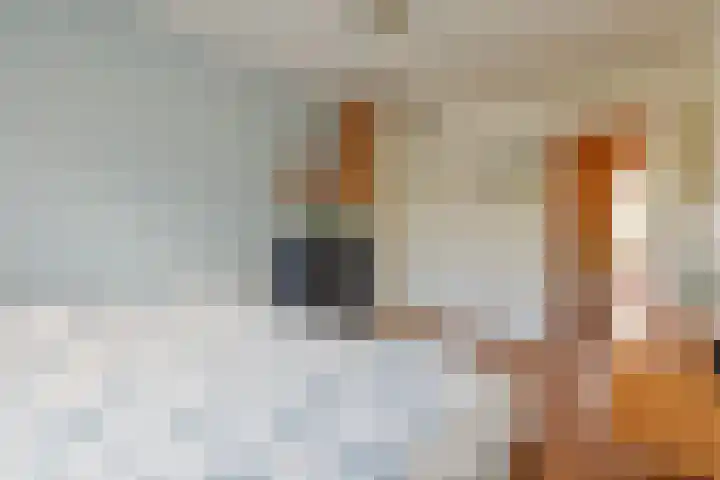 Admiraliteitstraat 51 Amsterdam thumbnail 8