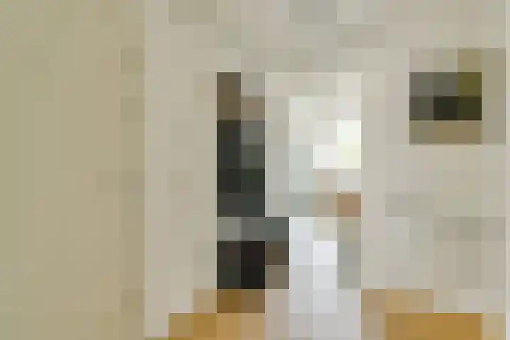 Admiraliteitstraat 53 Amsterdam thumbnail 11