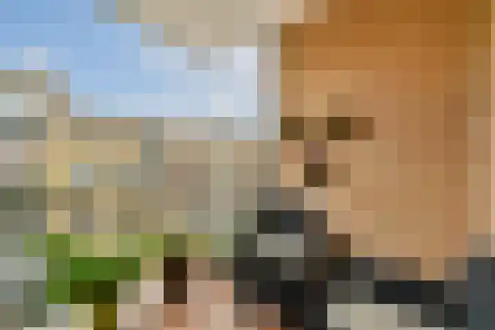 Admiraliteitstraat 53 Amsterdam thumbnail 4