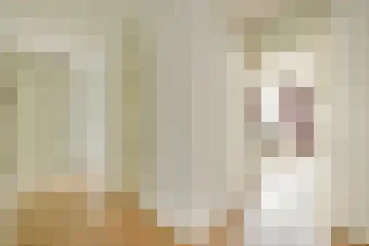 Admiraliteitstraat 53 Amsterdam thumbnail 6