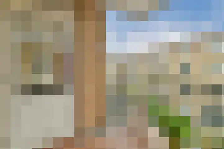 Admiraliteitstraat 53 Amsterdam thumbnail 8
