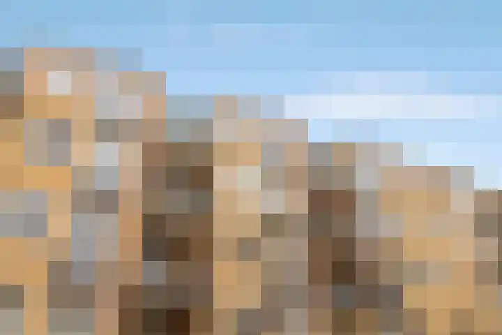 Admiraliteitstraat 55 Amsterdam thumbnail 4