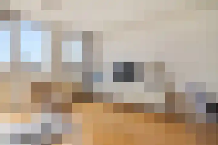 Admiraliteitstraat 55 Amsterdam thumbnail 6