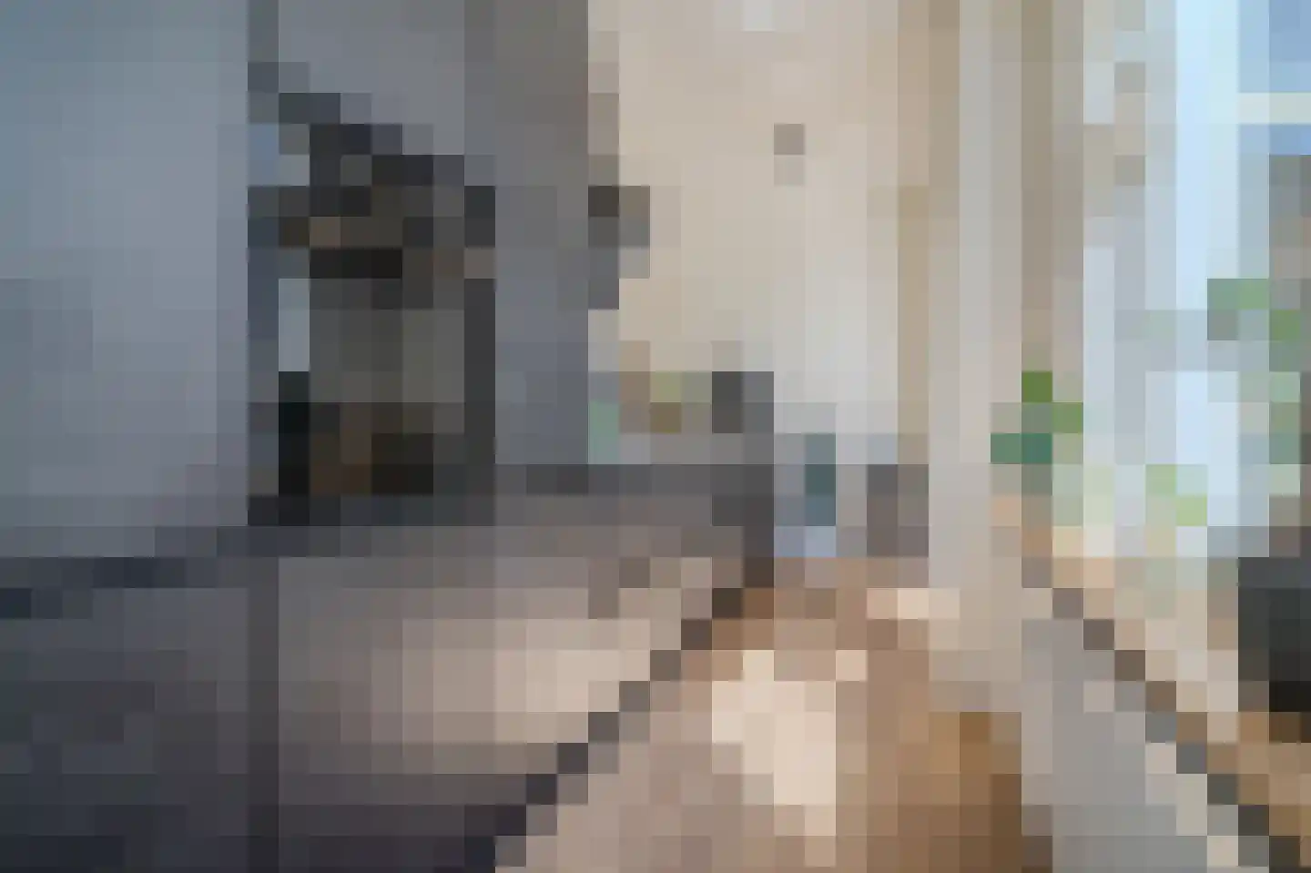Admiraliteitsweg 16 Enkhuizen thumbnail 13