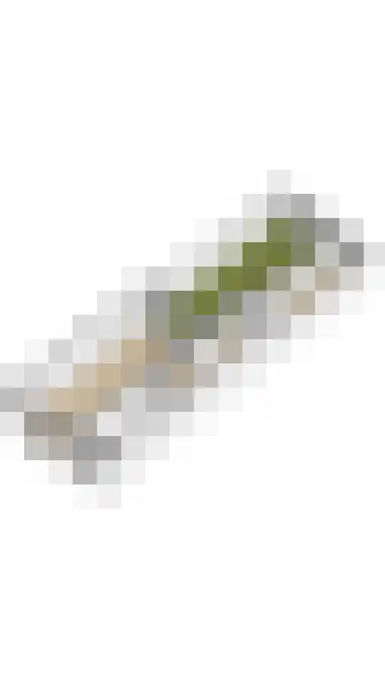 Admiraliteitsweg 16 Enkhuizen thumbnail 37