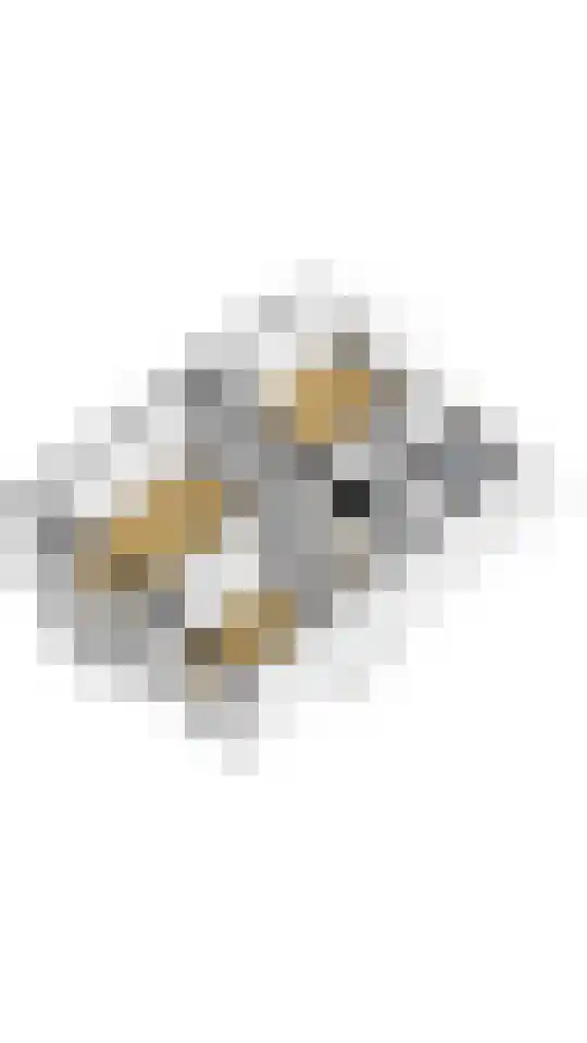 Admiraliteitsweg 16 Enkhuizen thumbnail 39