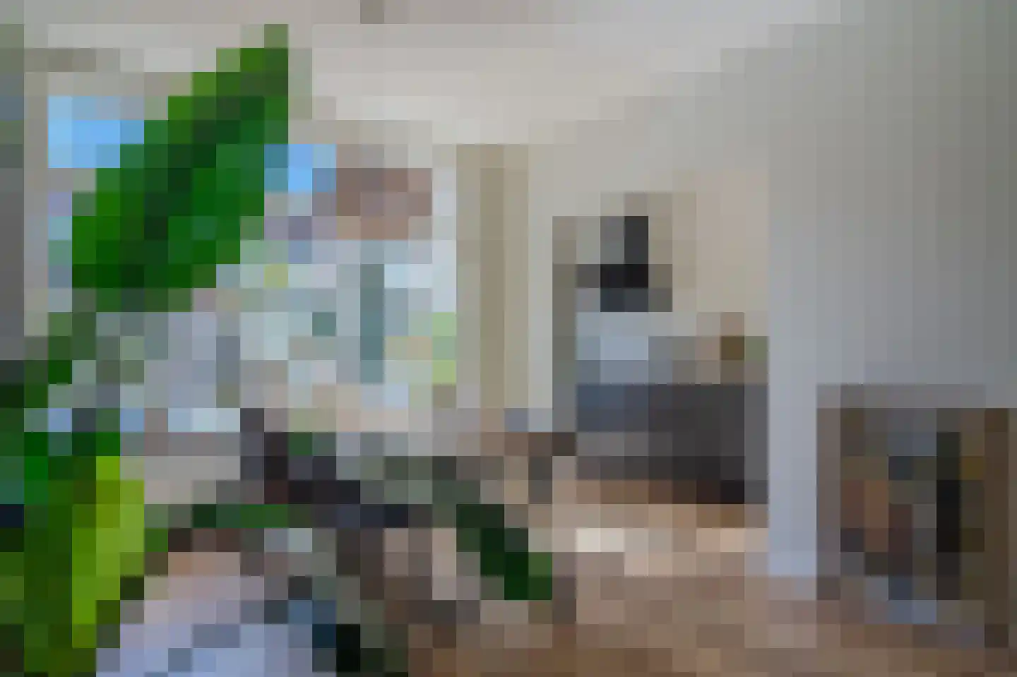 Admiraliteitsweg 16 Enkhuizen thumbnail 4