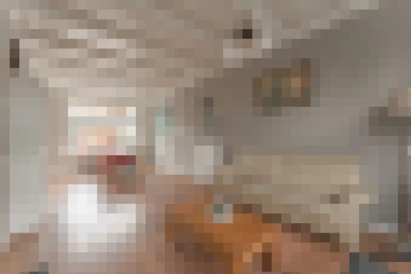Admiraliteitsweg 17 Enkhuizen thumbnail 13