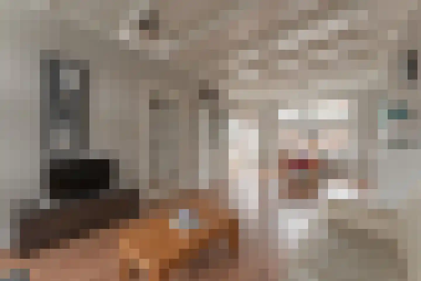 Admiraliteitsweg 17 Enkhuizen thumbnail 15
