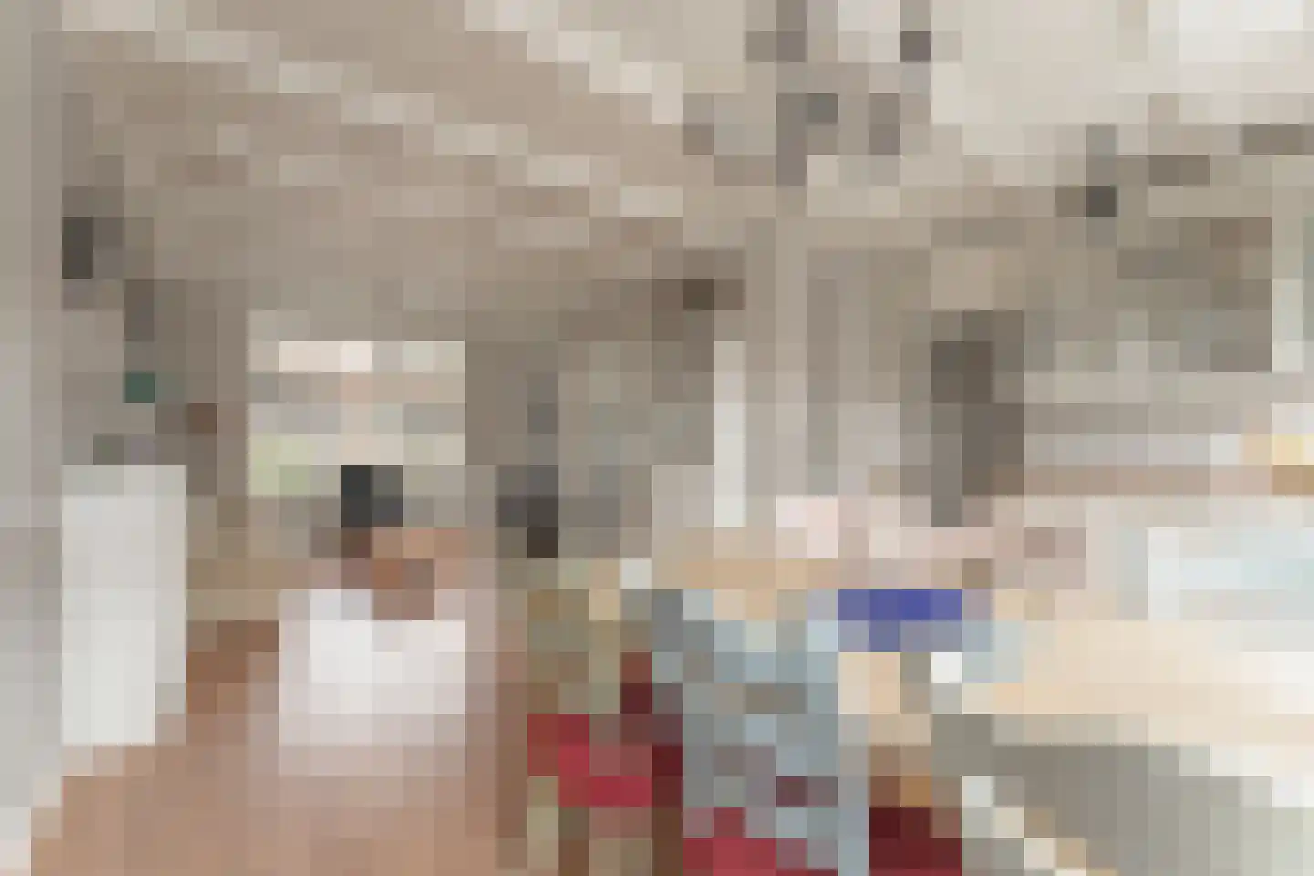 Admiraliteitsweg 17 Enkhuizen thumbnail 17