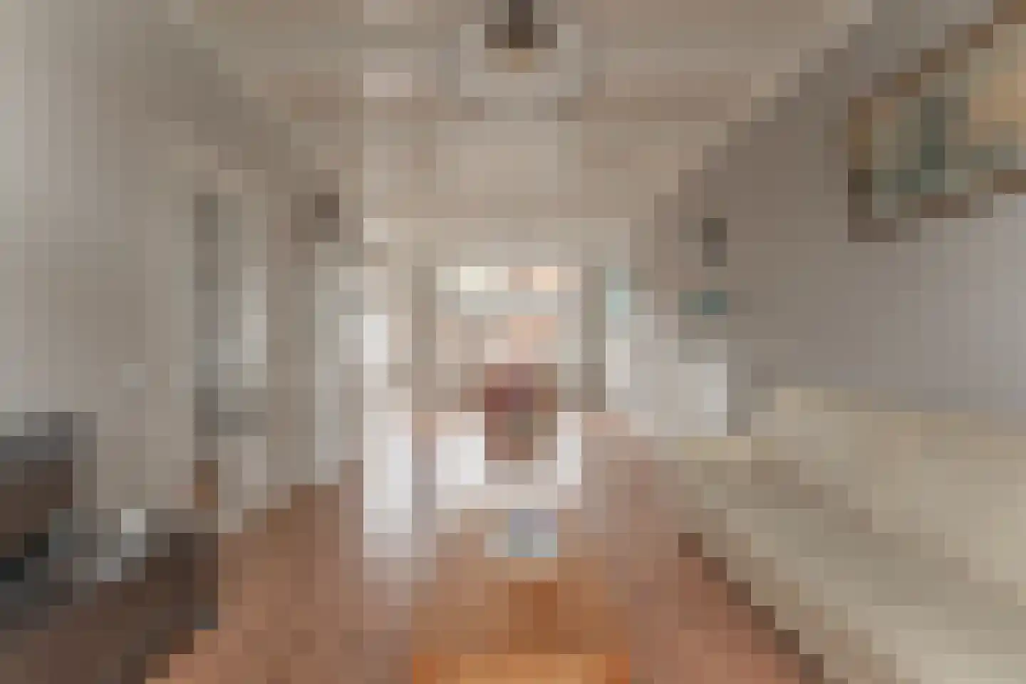 Admiraliteitsweg 17 Enkhuizen thumbnail 4
