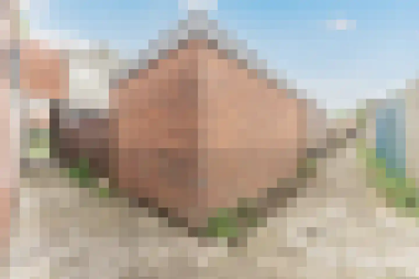 Admiraliteitsweg 17 Enkhuizen thumbnail 40