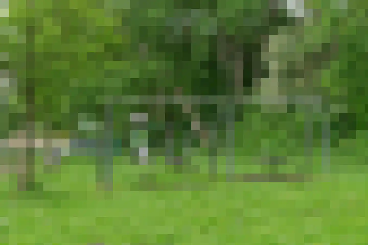 Admiraliteitsweg 17 Enkhuizen thumbnail 45
