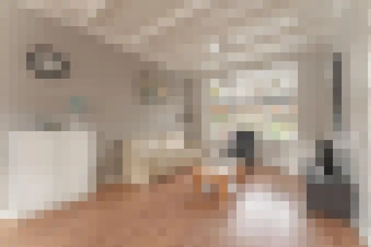 Admiraliteitsweg 17 Enkhuizen thumbnail 5