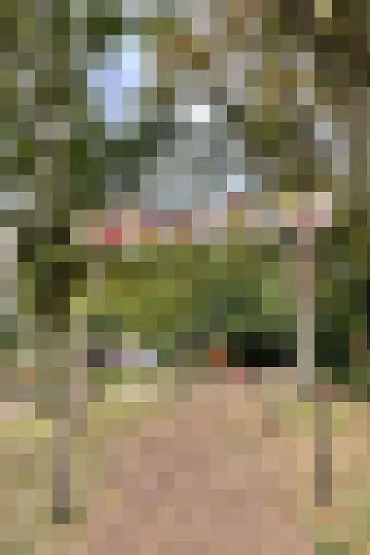 Adolf van Cortenbachstraat 60 Eindhoven thumbnail 23