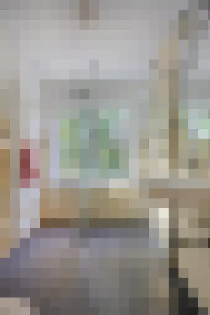 Adolf van Cortenbachstraat 85 Eindhoven thumbnail 23